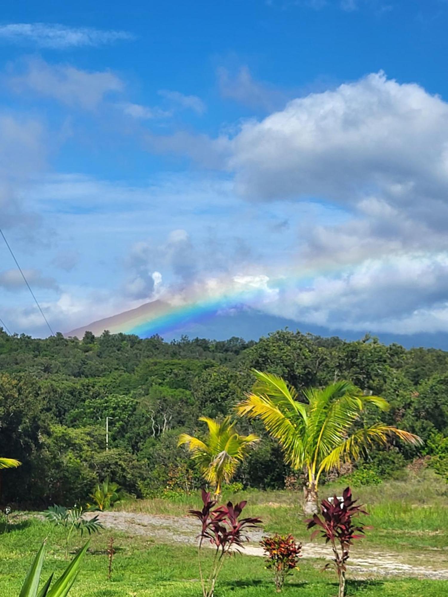 Hacienda En Los Volcanes Guayabo  Luaran gambar